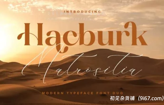 设计资源丨英文手写艺术衬线设计字体 可免费商用 字体分享|初见杂货铺