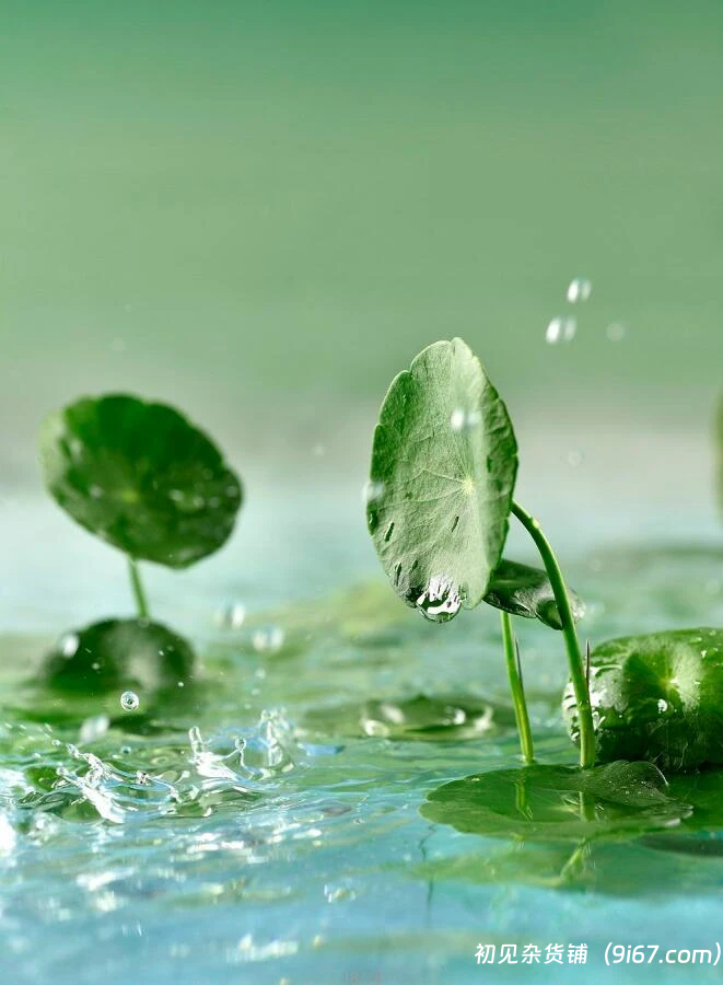 设计资源丨电商设计自然高级场景背景高清图18款插图2