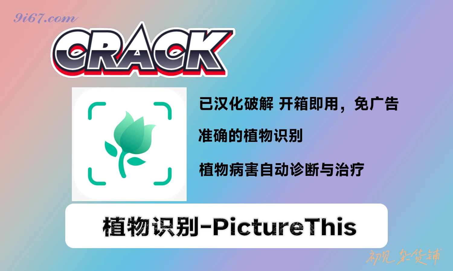 安卓软件丨PictureThis – AI植物识别应用，能识别超过17000种植物|初见杂货铺